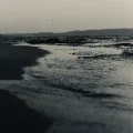 nuuget